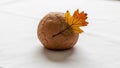 A round, cracked ball of brown clay rests on a white surface Royalty Free Stock Photo