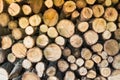 Round cut alder logs stacked in storage and ready for chopping lumberjack with axe on firewood for heating house in forest. Concep Royalty Free Stock Photo