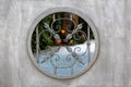 Decorative wrought iron window grille in concrete wall Royalty Free Stock Photo