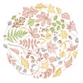 Round design with pastel rowan, rowan, acorn, buckeye, fern, maple, birch, maple leaves, lagurus