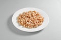 Round dish with a portion of boiled white beans Royalty Free Stock Photo
