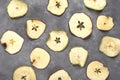 Round dried apple chips top view Royalty Free Stock Photo