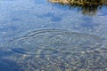 Round droplets of water over circles on the pool water. Water drop, whirl and splash. Ripples on sea texture pattern background. Royalty Free Stock Photo