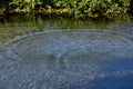 Round droplets of water over circles on the pool water. Water drop, whirl and splash. Ripples on sea texture pattern background. Royalty Free Stock Photo