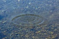 Round droplets of water over circles on the pool water. Water drop, whirl and splash. Ripples on sea texture pattern background. Royalty Free Stock Photo