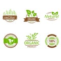 Round eco green stamp label of healthy organic