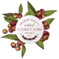 Round emblem with type design over hand drawn colorful camu camu branches