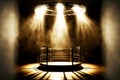 round empty cage boxing ring in light of spotlights box kickboxing mixed martial arts mma