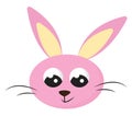 Cartoon face of the smiling pink rabbit isolated on white background viewed from the front, vector or color illustration