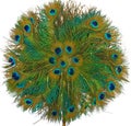 Round fan made of the peacock feathers front side