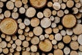 Round firewood texture. Pile of wood logs ready for winter Royalty Free Stock Photo