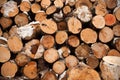 Round firewood for the winter, stacks of firewood, pile of firewood Royalty Free Stock Photo
