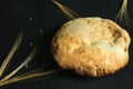 Round flat bread on a black background with ears of rye. Natural light. Selective focus with copy space Royalty Free Stock Photo