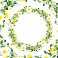 Round floral daisy pattern