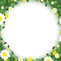 Round floral daisy pattern