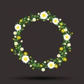 Round floral daisy pattern