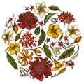 Round floral design with colored plumeria, allamanda, clerodendrum, champak, etlingera, ixora Royalty Free Stock Photo