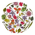 Round floral design with colored ylang-ylang, impatiens, daffodil, tigridia, lotus, aquilegia