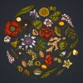 Round floral design on dark background with almond, dandelion, ginger, poppy flower, passion flower, tilia cordata