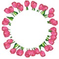 Round floral frame. Red pink tulips with leaves. Hand drawn watercolor and ink illustration. Isolated on white background Royalty Free Stock Photo