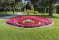 Round Flower Bed of Pink Begonias