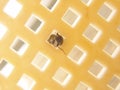 Round fly in a square hole Royalty Free Stock Photo