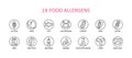 14 round food allergens icon. Vector set of 14 icons. Collection includes gluten, fish, egg, crustacean, peanut, lupin, soya, milk Royalty Free Stock Photo