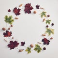 Round frame with autumn flora flat lay Royalty Free Stock Photo