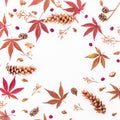 Round frame of autumn leaves, dried flowers and pine cones on white background. Flat lay, top view. Autumn concept Royalty Free Stock Photo