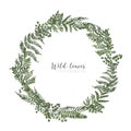 Round frame, border or circular wreath made of beautiful ferns, wild herbs or green herbaceous plants isolated on white Royalty Free Stock Photo