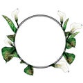 Round frame decorated with Calla plant with flower buds and leaves Royalty Free Stock Photo
