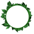 Round frame decorated with leaves