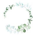 Round frame of eucalyptus leaves. graphic design element for weddings, cards, decoration.