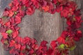 Round frame of fall color in red, green, yellow, and orange maple leaves on a rustic wood background Royalty Free Stock Photo