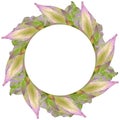 Watercolor of round frame of floral botanical lotus, buds and leaves. Royalty Free Stock Photo