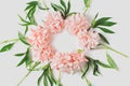 Round frame of flowers on a white background. light coral fresh peony flowers. flat lay, top view