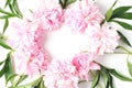 Round frame of flowers on a white background. light pink fresh peony flowers. flat lay Royalty Free Stock Photo