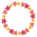 Round frame made of plumeria frangipani garland. Floral design. Hawaiian blossom. Hand-drawn watercolor illustration