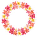 Round frame made of plumeria frangipani garland. Floral design. Hawaiian blossom. Hand-drawn watercolor illustration