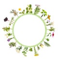 Round frame with many different medicinal plants