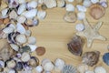 Round frame of many seashells on wooden background