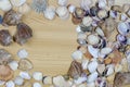 Round frame of many seashells on wooden background