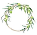 Round frame olive branches, green leaves, ripe fruits. Olive summer wreath. Natural garden composition harvesting. Hand drawn Royalty Free Stock Photo