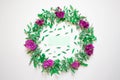 A wreath of violets on a white background. Round frame of purple flowers and fresh grass. Summer flowers.  Flat lay, top view. Royalty Free Stock Photo