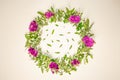 A wreath of violets on a white background. Round frame of purple flowers and fresh grass. Summer flowers.  Flat lay, top view. Royalty Free Stock Photo