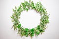 A wreath of violets on a white background. Round frame of purple flowers and fresh grass. Summer flowers. Flat lay, top view.