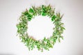 A wreath of violets on a white background. Round frame of purple flowers and fresh grass. Summer flowers.  Flat lay, top view. Royalty Free Stock Photo