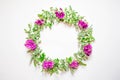 A wreath of violets on a white background. Round frame of purple flowers and fresh grass. Summer flowers. Flat lay, top view.