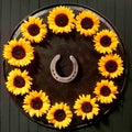 Round frame of sunflowers with a lucky horseshoe Royalty Free Stock Photo