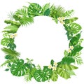 Round Frame with Tropical Leaves and Flowers Royalty Free Stock Photo